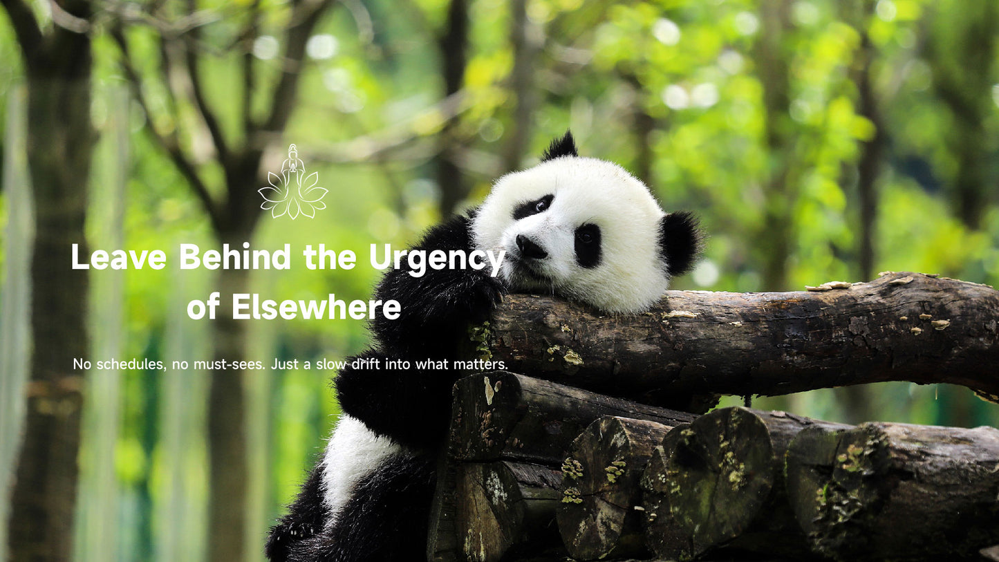 Mount Emei giant panda experience, luxury Zen retreat with Lotus & Jade Journeys