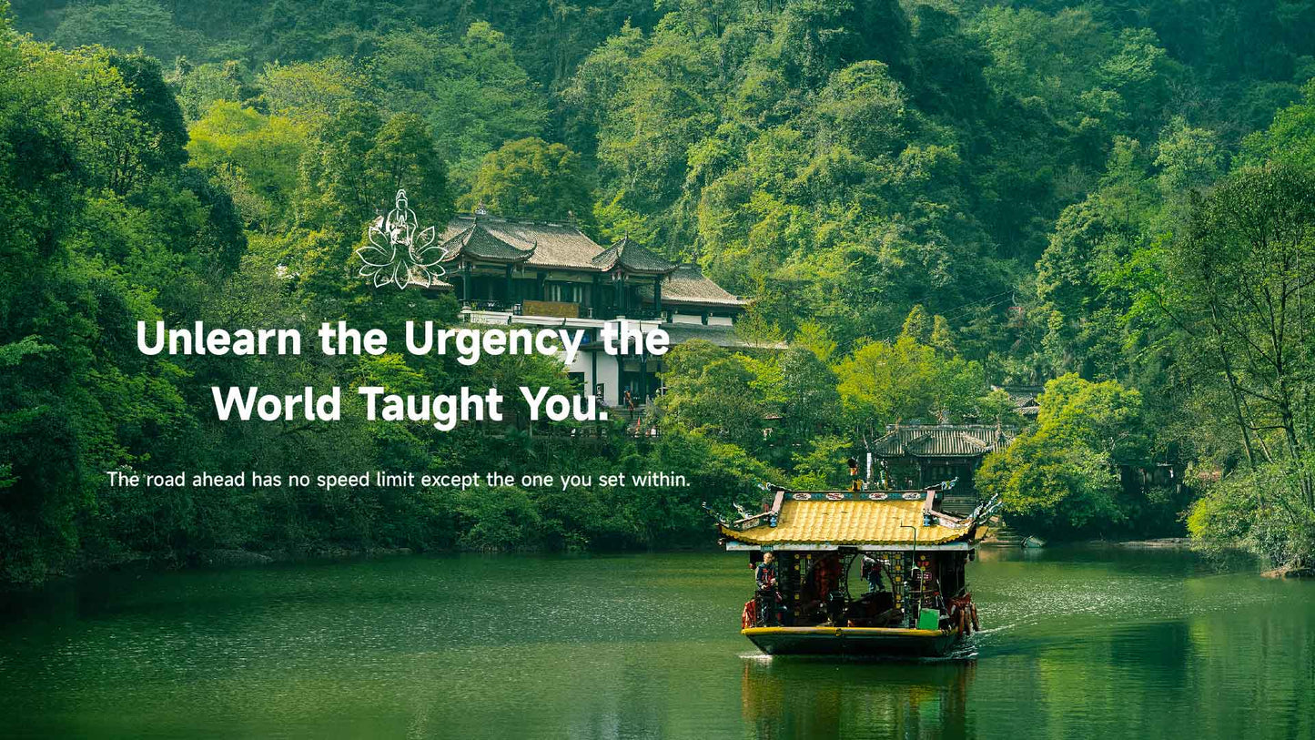Mount Qingcheng scenic boat tour, serene Zen journey with Lotus & Jade Journeys